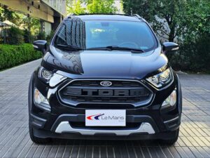 2021 Ford Ecosport Storm